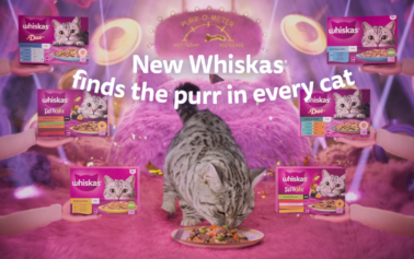 Whiskas and AMV BBDO go inside the mind of a fussy cat to showcase the new Whiskas range
