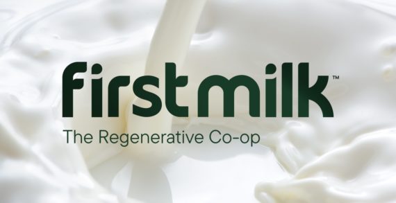 <strong>From Familiar to Fresh: KISS Branding Transforms First Milk’s Brand Identity.</strong>