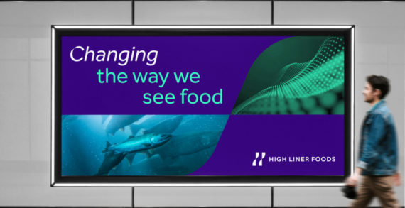 <strong>WMH&I rebrands 124-year-old seafood company High Liner Foods with a fresh, bold corporate identity.</strong>