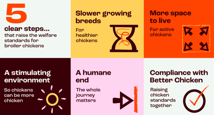 BORN UGLY SUPPORTS CIWF TO RAISE AWARENESS FOR CHICKENS WITH “COMMITTED TO BETTER CHICKEN” IDENTITY