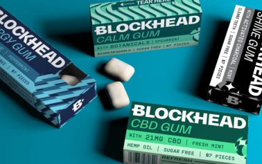 Blockhead: Beyond Gum, a Catalyst for LifeSource: The GateBlockhead: Beyond Gum, a Catalyst for Life