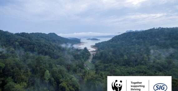 SIG launches second project with WWF Switzerland to support thriving forests in Malaysia