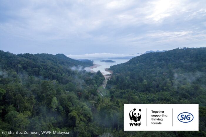 SIG launches second project with WWF Switzerland to support thriving forests in Malaysia