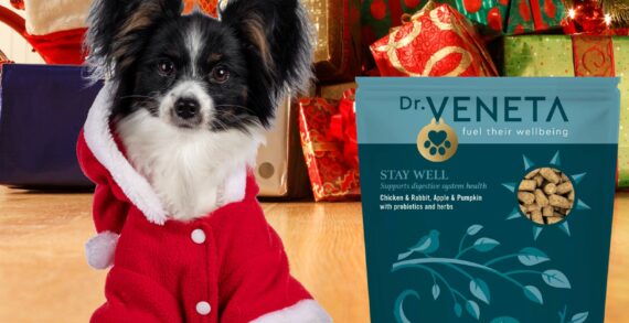 Kent Based Dr Veneta Adds An Eagerly Anticipated Wellness Variant To Its Pioneering Dog Food Range to Tackle Festive Greed Taking On The Growing Obesity Epidemic Among UK Dogs