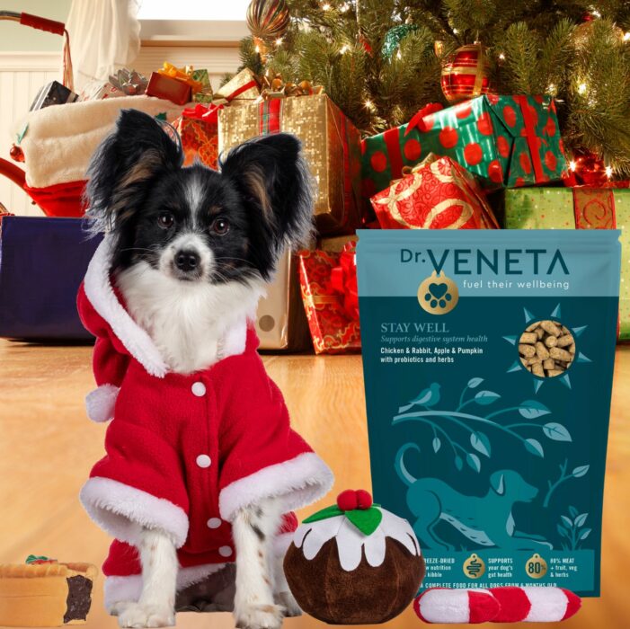 Kent Based Dr Veneta Adds An Eagerly Anticipated Wellness Variant To Its Pioneering Dog Food Range to Tackle Festive Greed Taking On The Growing Obesity Epidemic Among UK Dogs