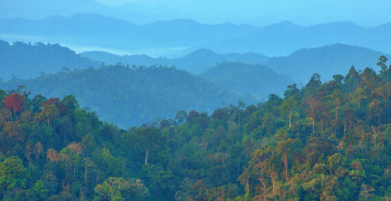 Third joint project by SIG and WWF-Switzerland aims to protect and connect Thailand’s key forest landscapes