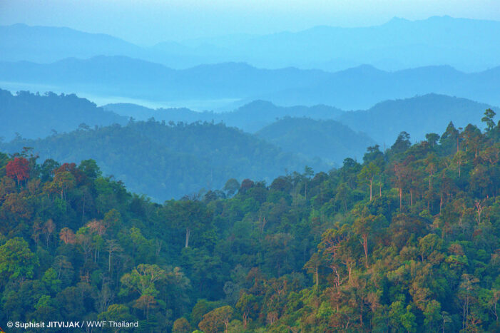 Third joint project by SIG and WWF-Switzerland aims to protect and connect Thailand’s key forest landscapes