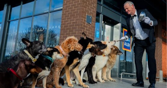SANTA ‘PAWS’ IS COMING TO TOWN! ALDI LAUNCHES NEW DOG MINCE PIES WHICH HAS PUPS LINING UP FOR A TASTE