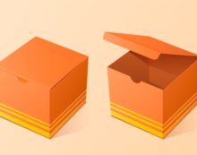 Box Styles That Offer User Convenience Beyond Packaging Aesthetics