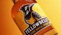 Yellowbelly: Small-Batch Maple Syrup