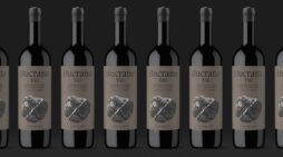 From Orot to Bucrana, the wine from an extreme land shaped by Moruba.