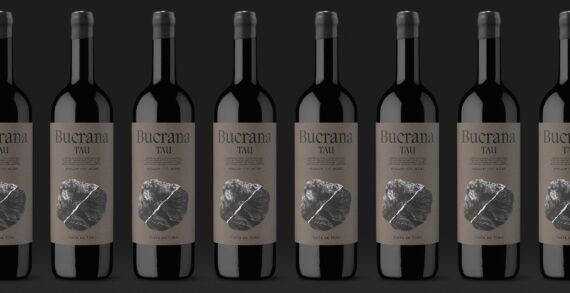 From Orot to Bucrana, the wine from an extreme land shaped by Moruba.
