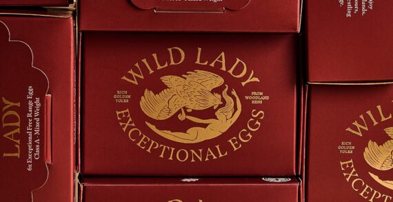 Kingdom & Sparrow craft premium branding for exceptional eggs