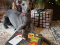 PURE PET FOOD PUTS MINDFUL TREATING ON THE MENU THIS CHRISTMAS