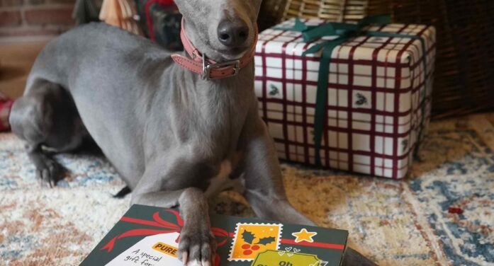 PURE PET FOOD PUTS MINDFUL TREATING ON THE MENU THIS CHRISTMAS