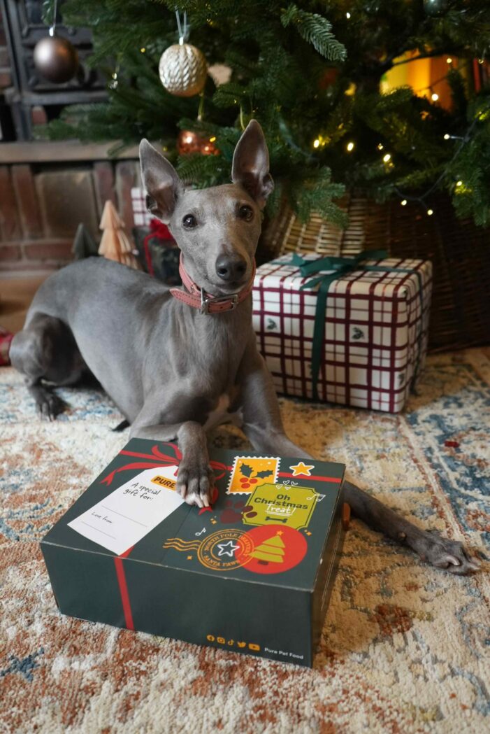 PURE PET FOOD PUTS MINDFUL TREATING ON THE MENU THIS CHRISTMAS